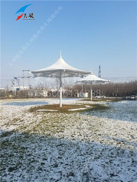 山东齐都药业膜结构小品